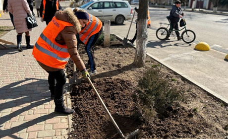 Доведеться розповідати про смітники, а не про красу: інспекція з благоустрою про перші рейди
