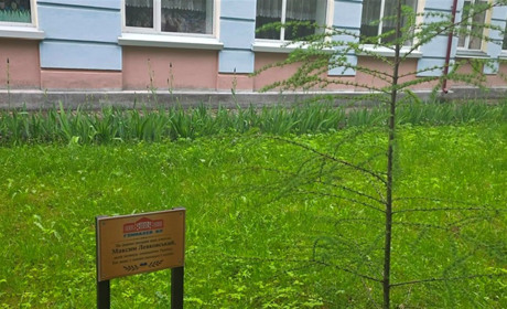 Модрина пам'яті: у Гімназії №9 вшанували загиблого вчителя Максима Левковського