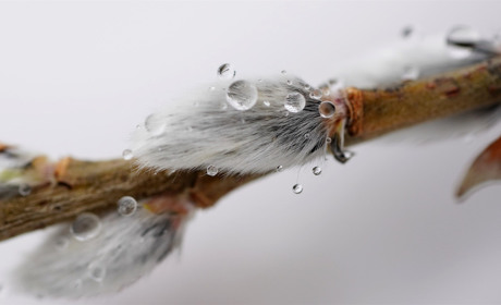 Не весняні морози і сніг: якою буде погода на Сватівщині з 8 по 14 березня 2021