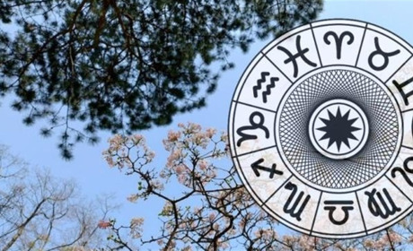 Гороскоп на тиждень з 16 по 22 березня 2026 року: що зірки нам приготували