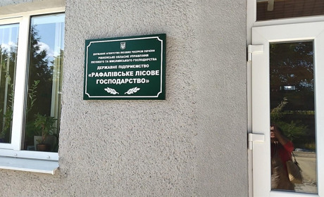 Хранителі зелених легень, або чим живуть лісівники Рафалівського лісгоспу