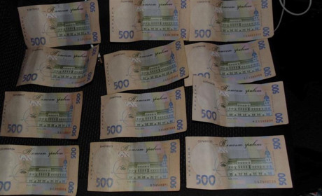 На Звягельщині водій невдало спробував відкупитися від поліцейських