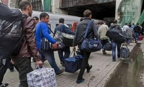 Чи їхати в Польщу на полуницю