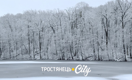 Зима прийшла до дендропарку Нескучне: фоторепортаж із засніженого лісу
