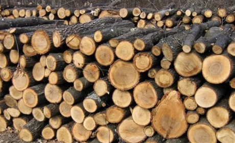 Скільки коштують дрова в Умані, та як купувати через інтернет-магазин «ДроваЄ»