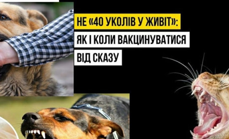 Сказ. Що робити, якщо вас укусить інфікована тварина?