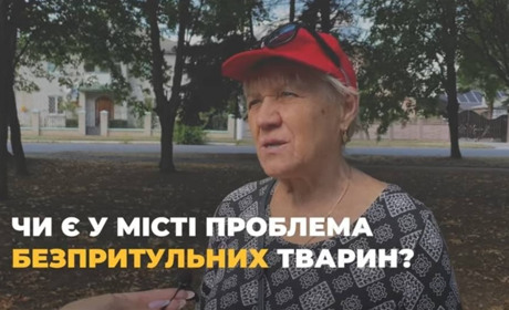 Чи є у місті проблема з безпритульними тваринами? Опитування