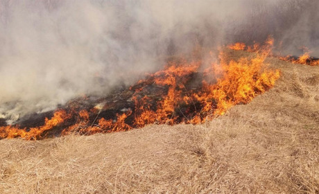 Пожежна небезпека: спалювати сміття та рослинність заборонено. За порушення вимоги – штраф