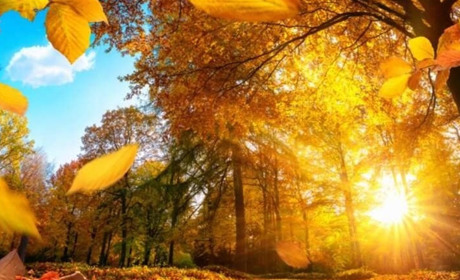 Якою буде погода у вересні: синоптики прогнозують