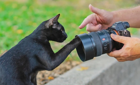 Професія фотограф: її переваги та як стати фотографом