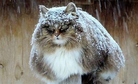 Якою буде погода останнього дня осені та на початку зими