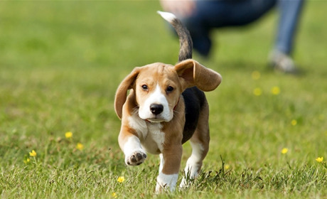 Мелитопольцев приглашают на пикник в экопарк