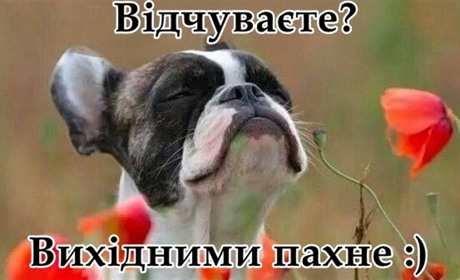 Афіша міста: куди піти у Сарнах цього тижня