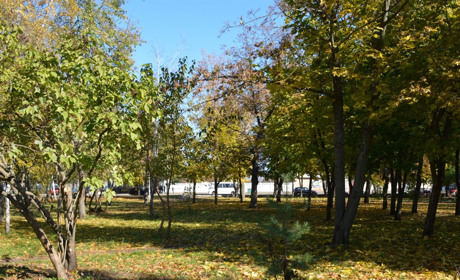Щоденний дайджест від Золотоноша.City: зустрічаємо новий день – 25 жовтня 2021 року