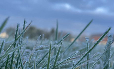 Заморозки на грунті та сильний вітер: яким буде синоптичний початок наступного тижня