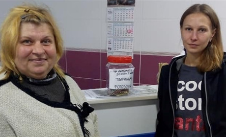 Тетяна Зайцева прихистила вдома 30 котів. Утримувати їх допомагають небайдужі