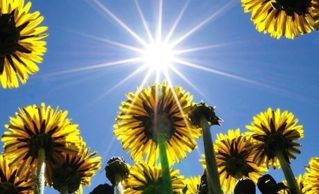 Синоптики прогнозують спеку, яка трохи послабне з другої половини тижня