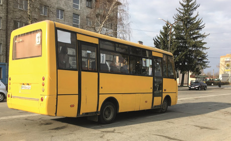 Проїзд у маршрутках Звягеля може подорожчати: скільки коштуватиме квиток