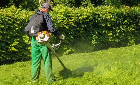 Робота від Білопільського центру зайнятості: вакансії станом на 15 травня