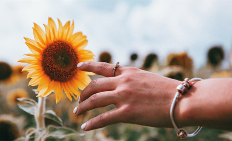 У перші липневі вихідні у Кагарлицькому районі +29 і гроза