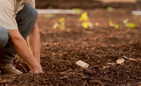 Як житель Сватівського району позбавляється відходів без шкоди для природи та з вигодою для себе