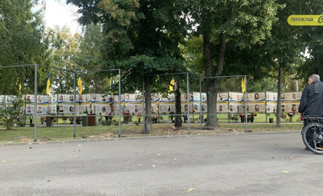 У Переяславі доповнять Алею Героїв: місце для нових портретів міськрада вже визначила