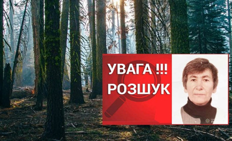 Тривають пошуки жінки з Воронок, яка пішла до лісу і не повернулась