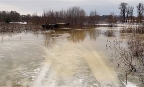 У Новгород-Сіверській громаді рівень води у Десні зріс, кілька сел залишились відрізані
