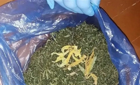 У Глухові викрили чоловіка, який зберігав удома марихуану та коноплі. Що йому світить
