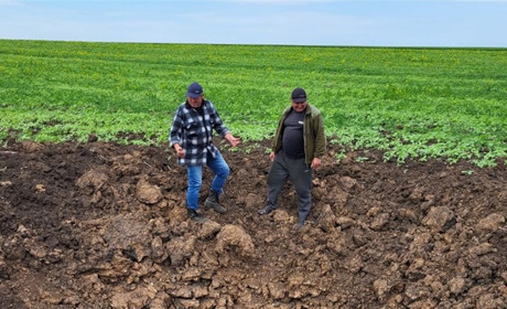 Ціна українського хліба у Гуляйпільській громаді: скільки коштує окупація одного господарства?