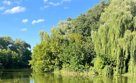 Що синоптики нам прогнозують. Погода на 2-6 серпня