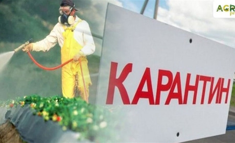 Плюс дев'ять випадків "корони" у Горобівці. Шостого червня село закривають на карантин