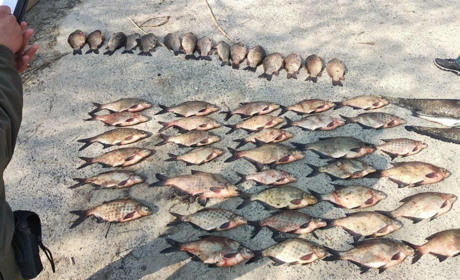 Біля села Стайки Кагарлицького району затримали чоловіка, який у нерест ловив рибу сіткою