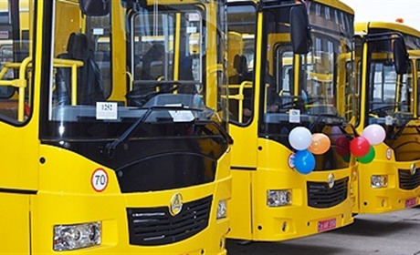 Городоцька громада закуповує шкільні автобуси. Скільки і учнів яких шкіл ними довозитимуть