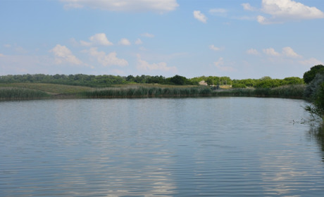 Водойма живе поки потрібна людям: як житель села на Сватівщині впорядкував ставок для людей
