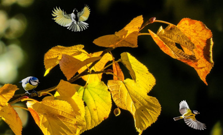 Якою буде погода у Сватовому і районі з 21 по 27 жовтня: прогноз на тиждень