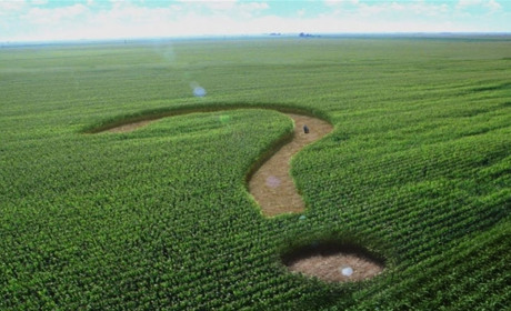 Посадовці Запорізького обласного управління Держгеокадастру проводили оборудки із землею