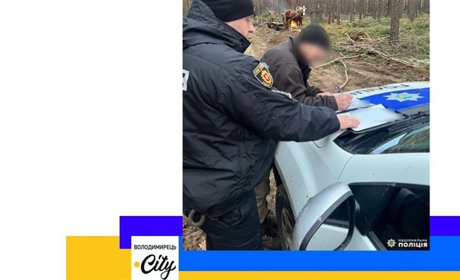 Поліція впіймала лісокрадіїв біля Великих Телкович - це були жителі Луко і Білого