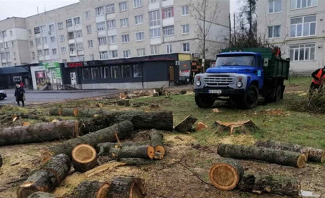 КП «СЛАВУТА-СЕРВІС» продовжує ліквідацію аварійних дерев та гілок