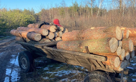 У двох громадах Сарненського району спіймали незаконних лісорубів