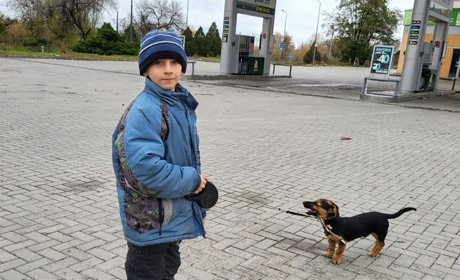 З Бахмута евакуювали восьмирічного хлопчика: його батьки загинули під обстрілами