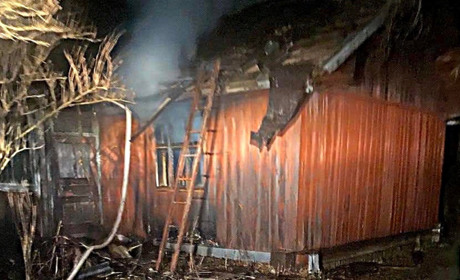 Тіло загиблого власника знайшли рятувальники під час пожежі в дерев'яному будинку у селі Низи