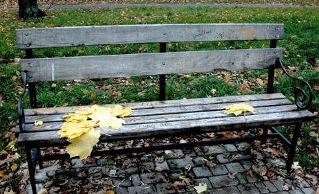 Найближчими днями буде хмарно, в суботу на Сумщині дощитиме: прогноз погоди