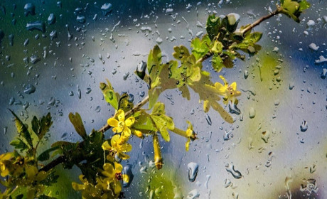 Якою буде погода на Сумщині та в Україні найближчими днями: прогноз синоптиків на 5-7 квітня