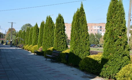 Щоденний дайджест від Золотоноша.City: зустрічаємо новий день – 11 жовтня 2021 року