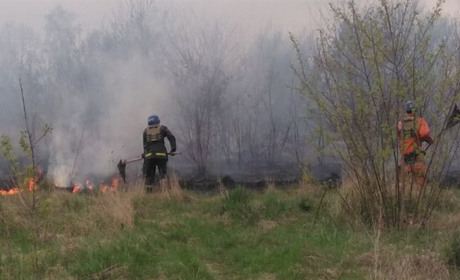 Рятувальники Сумщини попередили про найвищий 5 клас пожежної небезпеки 12-14 травня