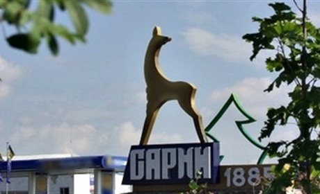 Пазл-гра: склади картинку - впізнай видатну особистість Сарненщини