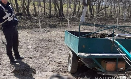 З ознаками сп'яніння та за кермом мотоблока. Який вирок виніс Городоцький суд правопорушнику?