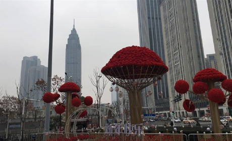 Мелитополь – Ухань – Новые Санжары: наша землячка из центра эпидемии коронавируса попала в карантин