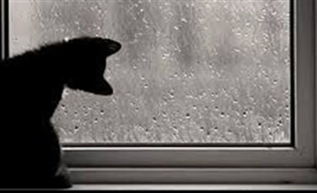 Невеликий дощ та короткочасне похолодання. Яку погоду прогнозують синоптики на Сумщині та в Україні